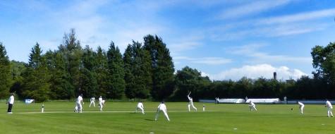 Game of Cricket