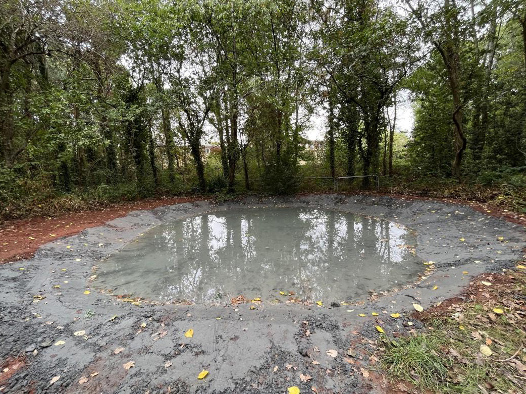 Frenchay nature reserve pond