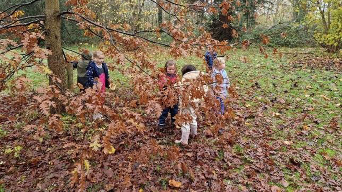 Ladybird Class in the Wood